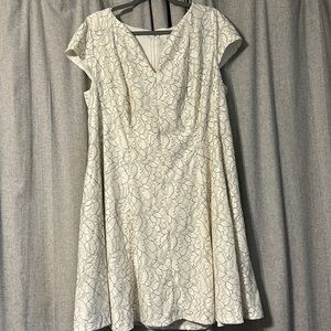 NWT Julia Jordan Lace Dress